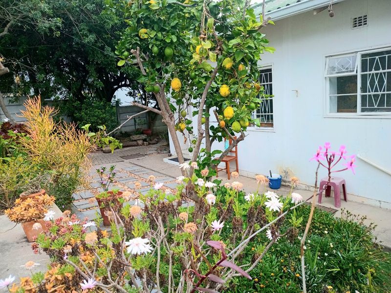 Versatile Knysna Central Investment Opportunity with Lagoon Views and Income Generating Flatlet - Photo 5