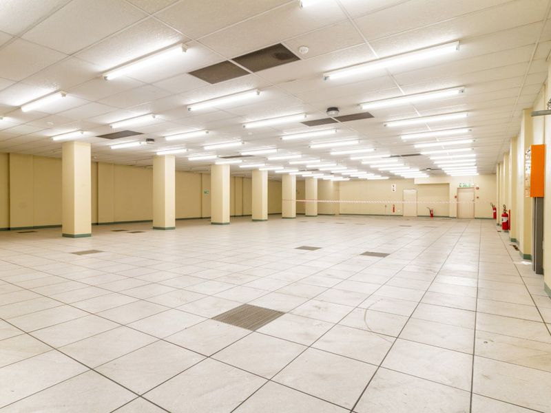 Low-Maintenance Investment Property with Central Cooling & Generator Backup! - Photo 1