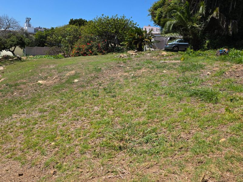 A sloped residential plot featuring established trees and natural vegetation, offering a blank canvas for future development.