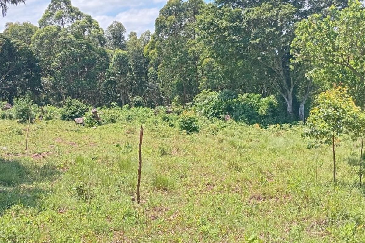 0 Bed Vacant Land in Ongoye, Empangeni Rural for Sale - Photo 2