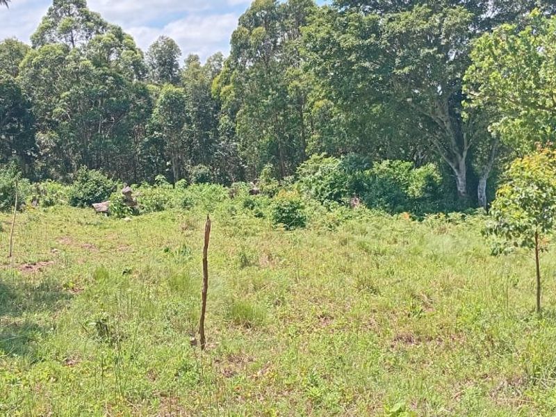 0 Bed Vacant Land in Ongoye, Empangeni Rural for Sale - Photo 2