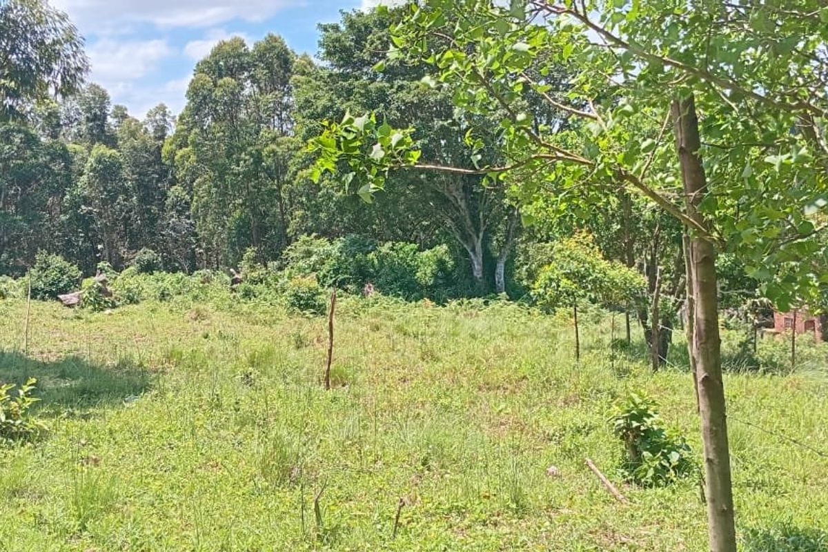 0 Bed Vacant Land in Ongoye, Empangeni Rural for Sale - Photo 3