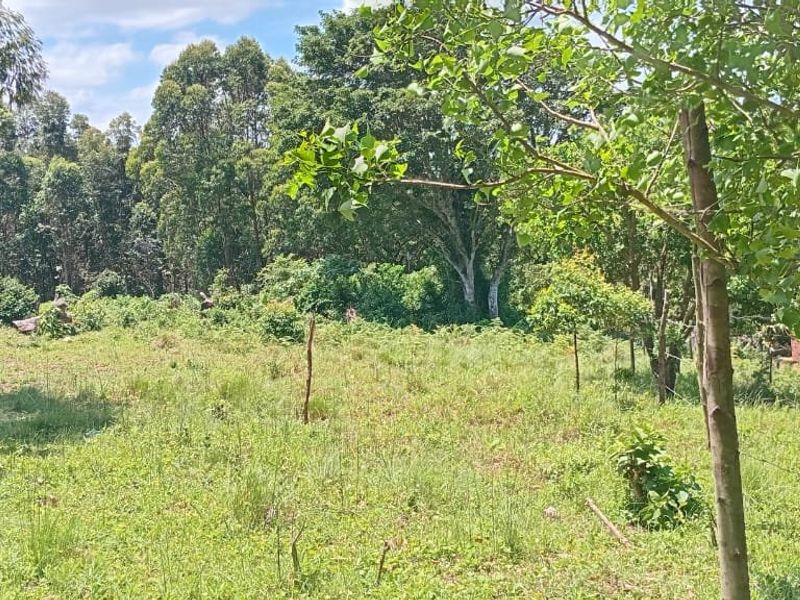 0 Bed Vacant Land in Ongoye, Empangeni Rural for Sale - Photo 3