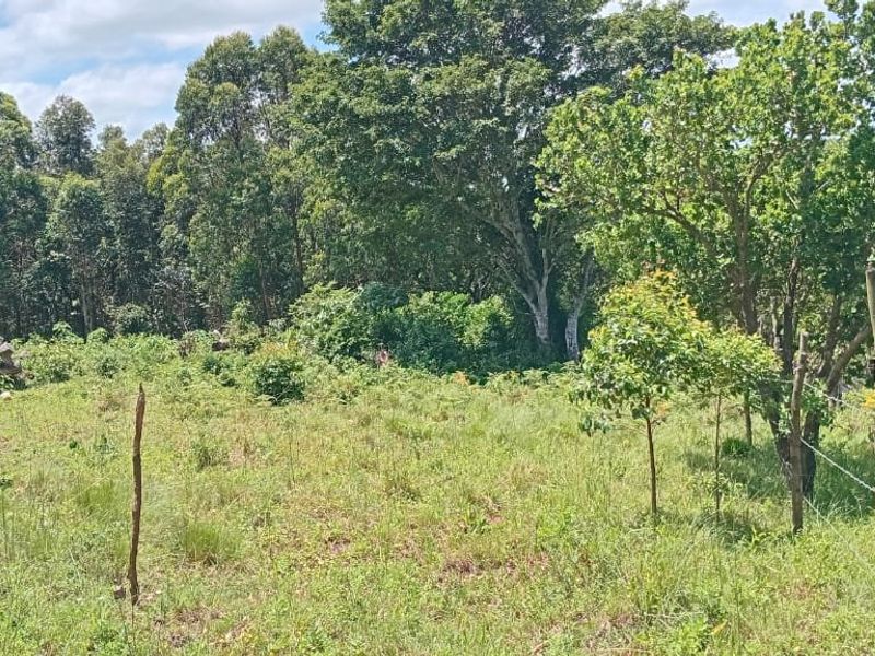 0 Bed Vacant Land in Ongoye, Empangeni Rural for Sale - Photo 4