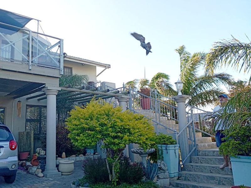 Home For Sale in Wavecrest, 4 Bedroom With endless Potential  - Photo 4