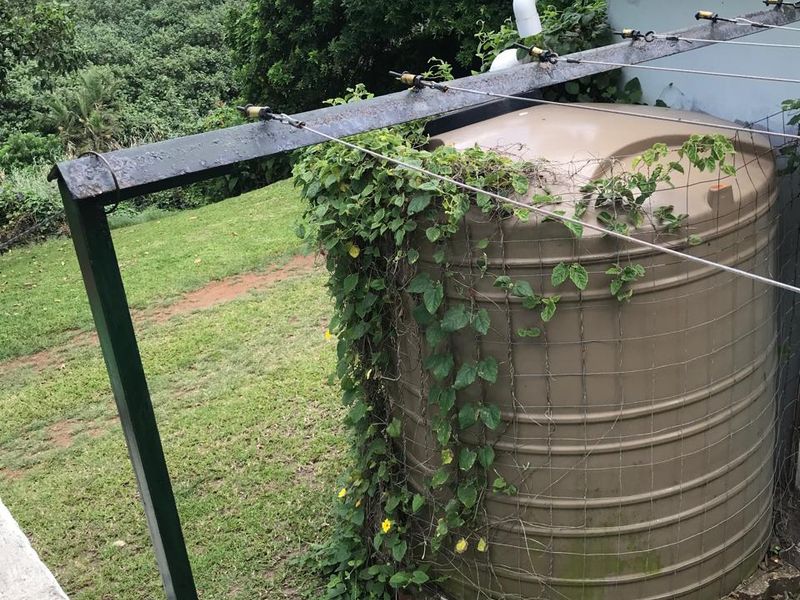 Two Bedroom Furnished Apartment to rent at Beacon Rocks, Margate  - Photo 8