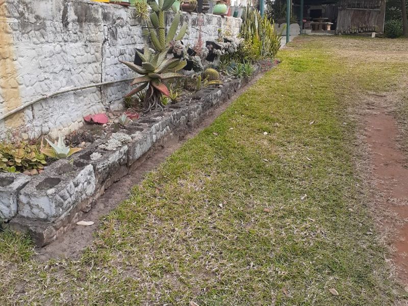 Cosy Margate flat with good flow and garden - Photo 10