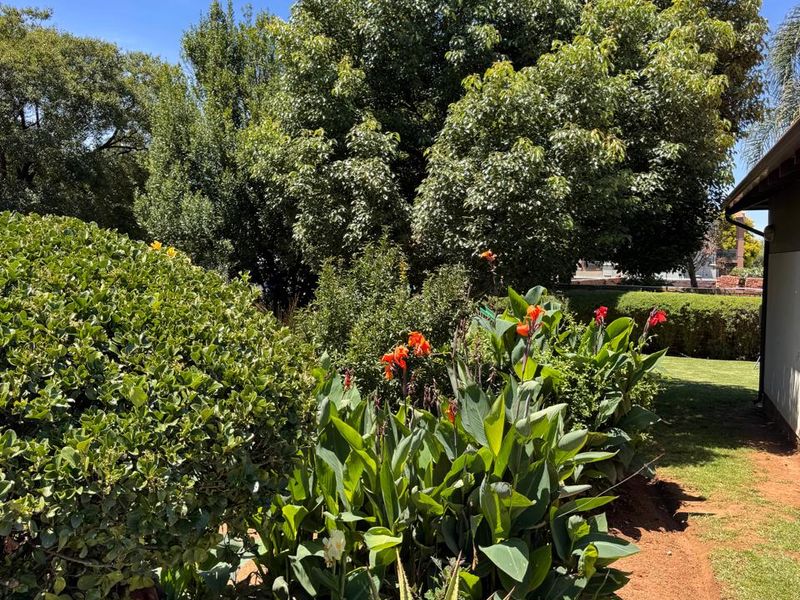 An Entertainer’s Dream Home  - Photo 9