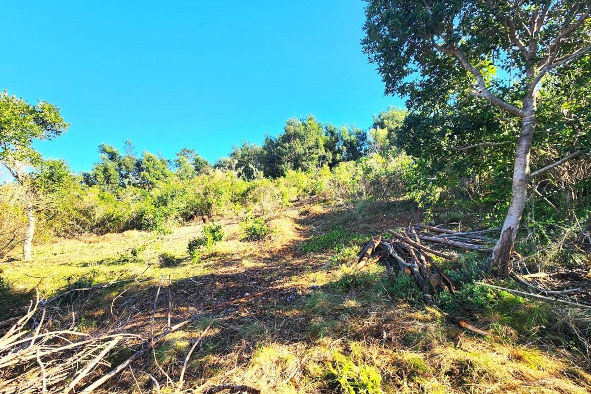 Unspoiled tranquility in Langvlei Dunes - Photo 5