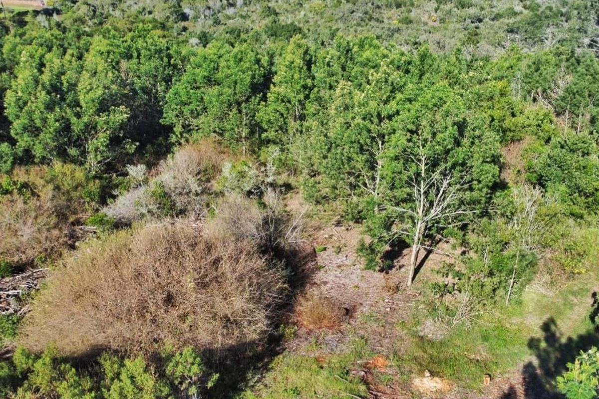 An aerial view of a vacant residential plot featuring dense native vegetation and mature trees across the landscape.