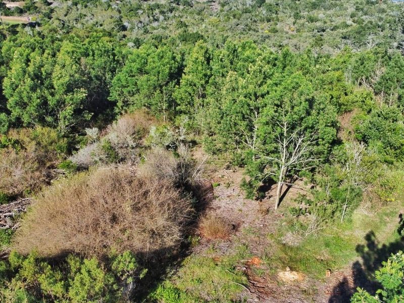 An aerial view of a vacant residential plot featuring dense native vegetation and mature trees across the landscape.