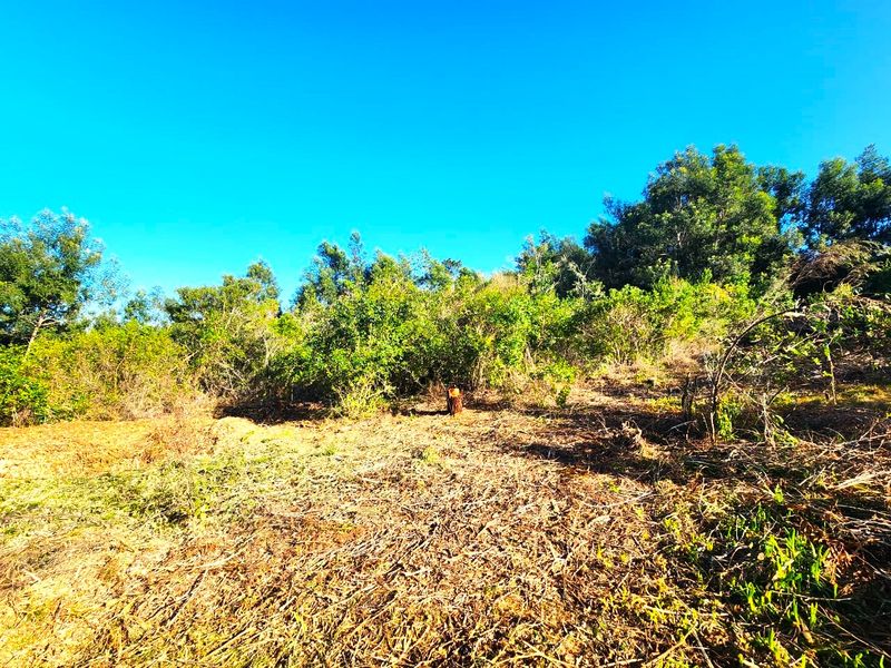 A view of a vacant residential plot featuring natural vegetation and cleared ground, suitable for future development.