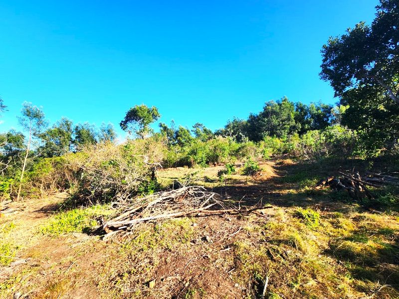A view of a sloped residential plot featuring natural vegetation, mature trees, and cleared ground, offering potential for future development.