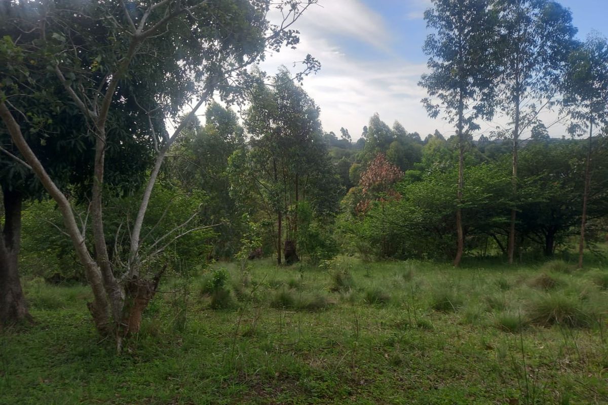 0 Bed Vacant Land in Ongoye, Empangeni Rural for Sale - Photo 2