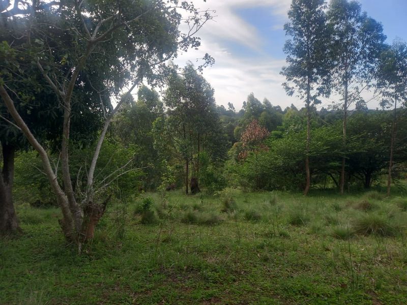 0 Bed Vacant Land in Ongoye, Empangeni Rural for Sale - Photo 2