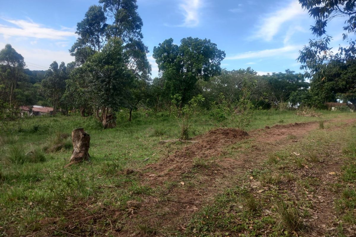0 Bed Vacant Land in Ongoye, Empangeni Rural for Sale - Photo 3