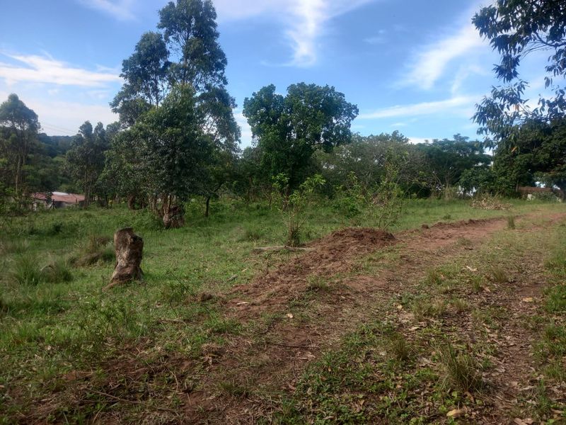 0 Bed Vacant Land in Ongoye, Empangeni Rural for Sale - Photo 3