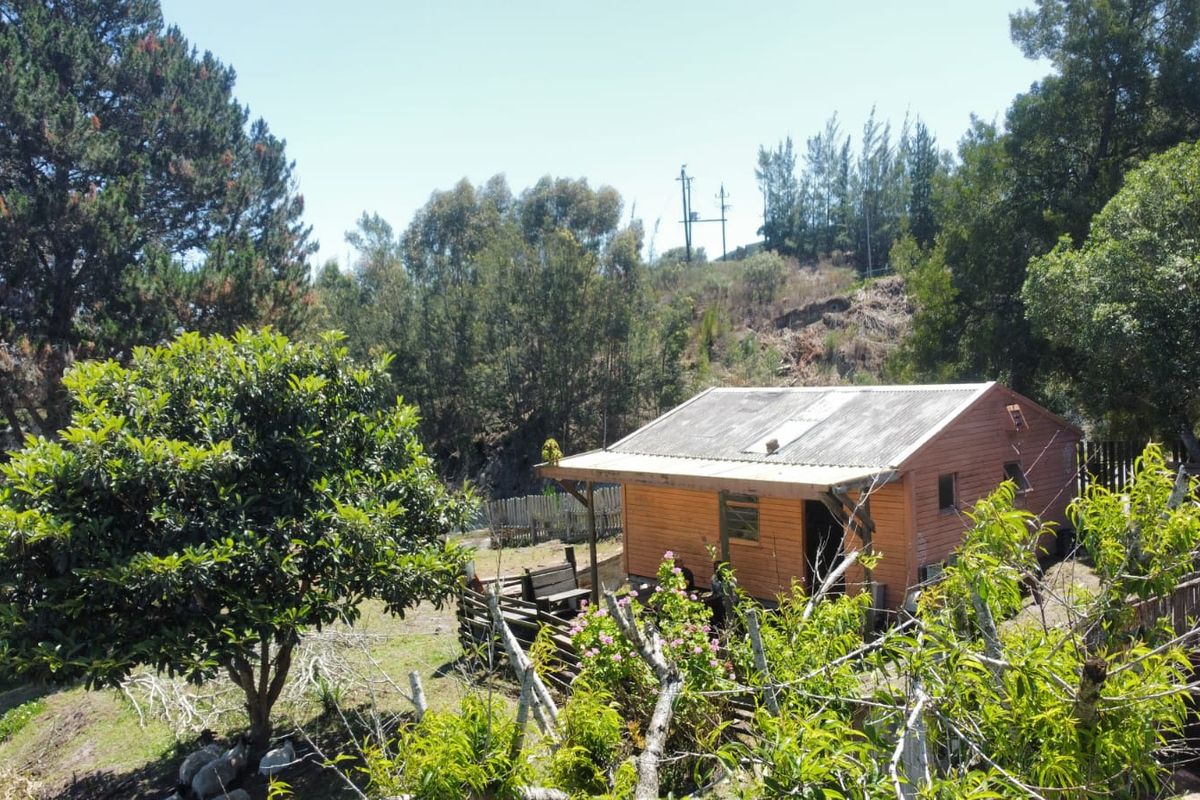 A rustic timber cabin set within a rural landscape, featuring a corrugated metal roof and a small covered veranda.