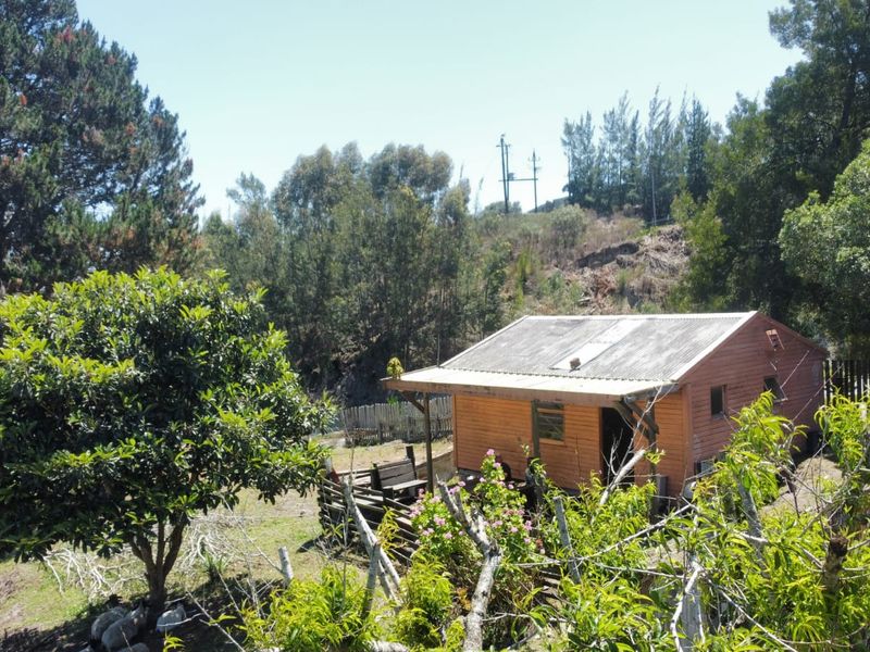 A rustic timber cabin set within a rural landscape, featuring a corrugated metal roof and a small covered veranda.