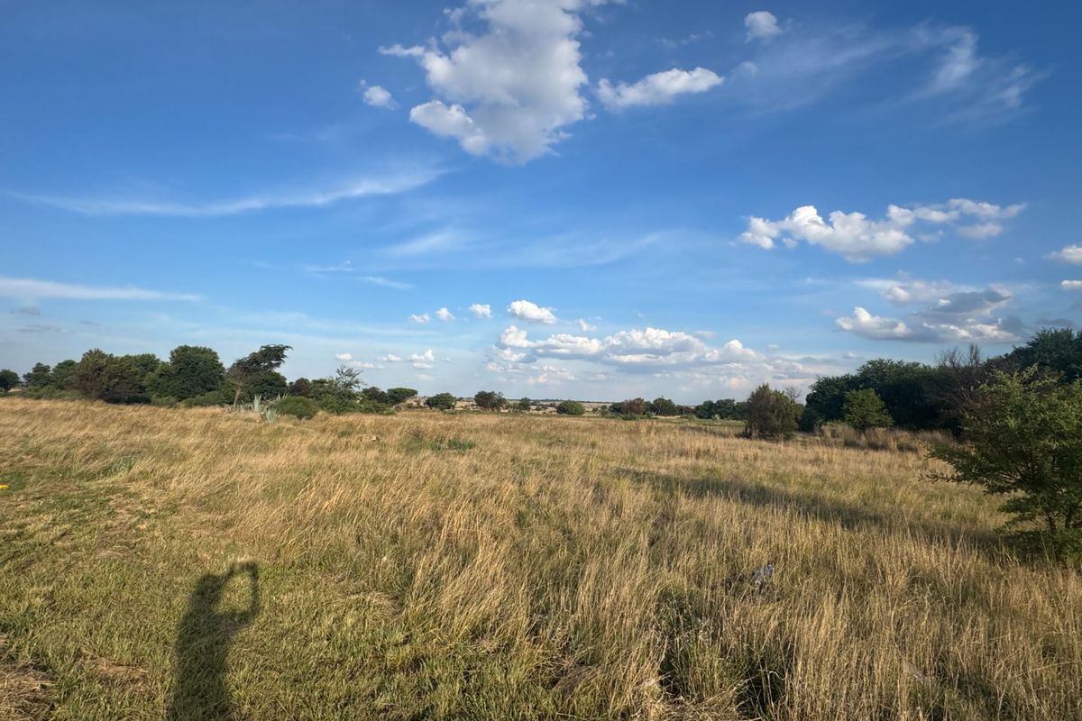 A wide-angle view of a vacant residential plot featuring natural grassland and scattered indigenous trees under a clear blue sky.