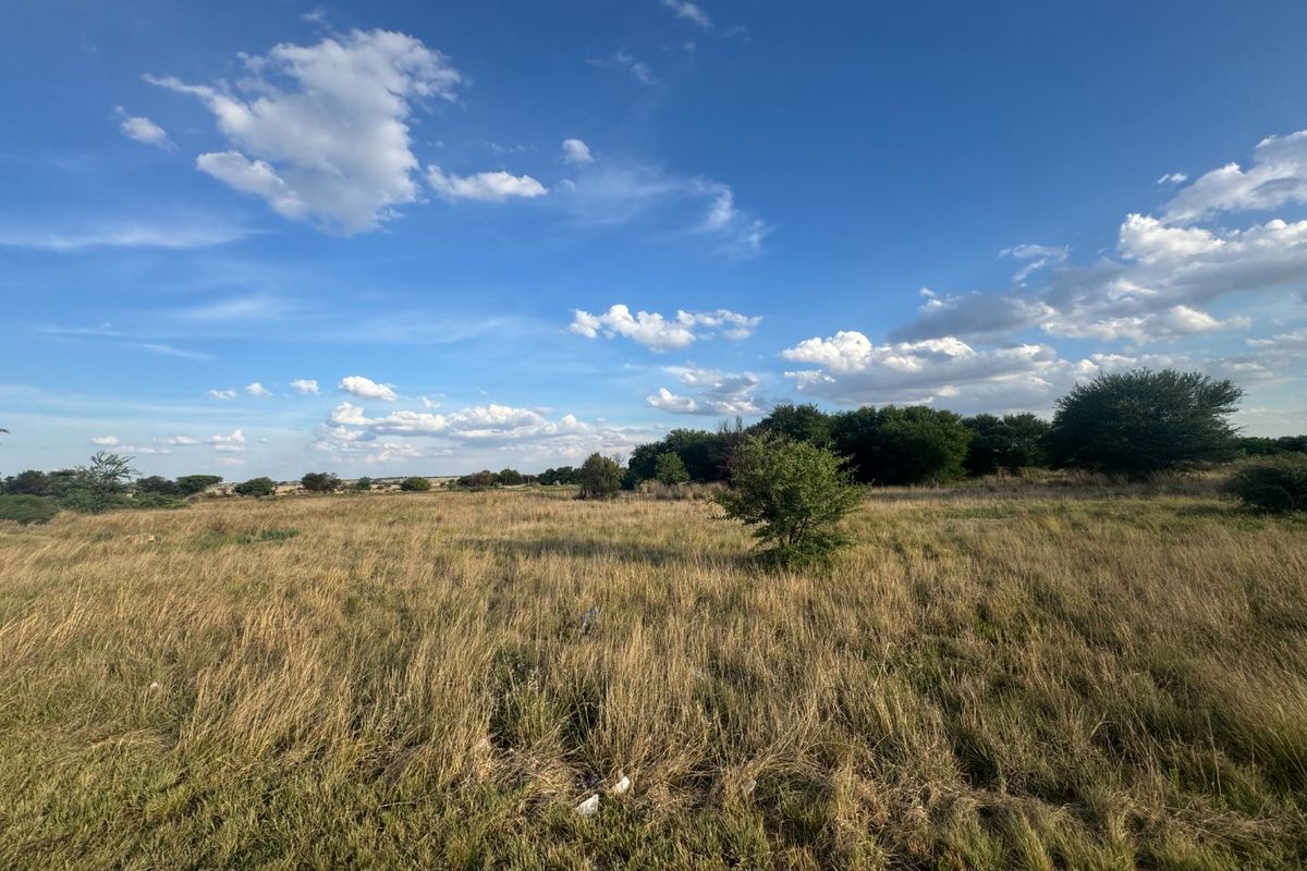 A wide-angle view of an expansive, undeveloped residential plot featuring natural grassland and scattered native vegetation under a clear blue sky.