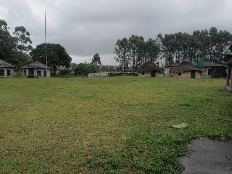 0 Bed House in Mzingazi for Sale - Photo 6