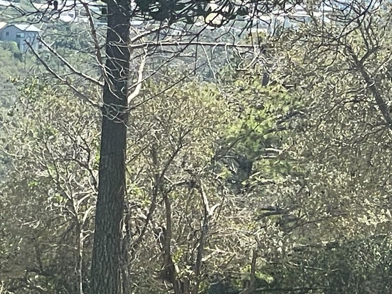 Prime 15ha Investment Opportunity – Exceptional Location Adjacent to Brackenridge Estate - Photo 5