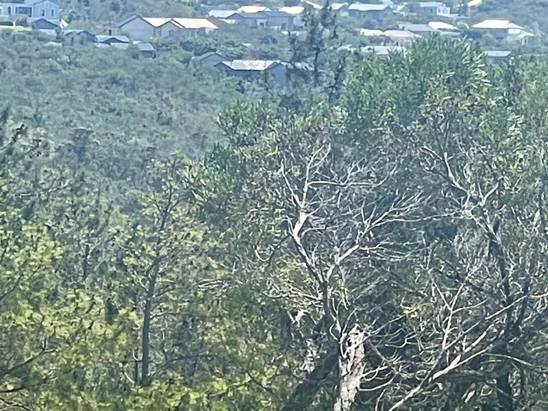 Prime 15ha Investment Opportunity – Exceptional Location Adjacent to Brackenridge Estate - Photo 3