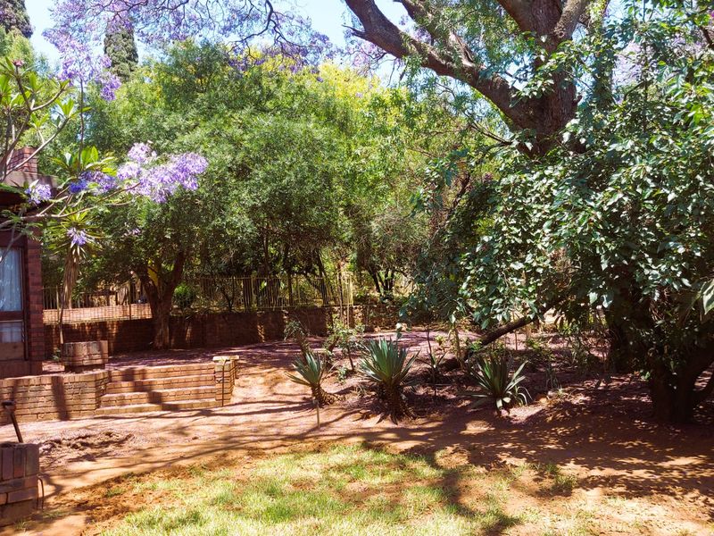 3 Bedroomed Property With Potential. Retro 70s Architectural Gem  - Photo 4