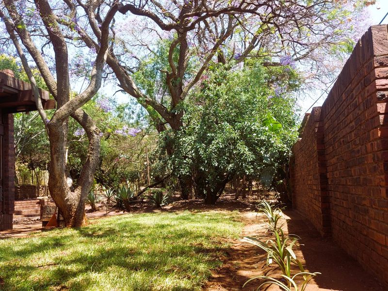 3 Bedroomed Property With Potential. Retro 70s Architectural Gem  - Photo 7