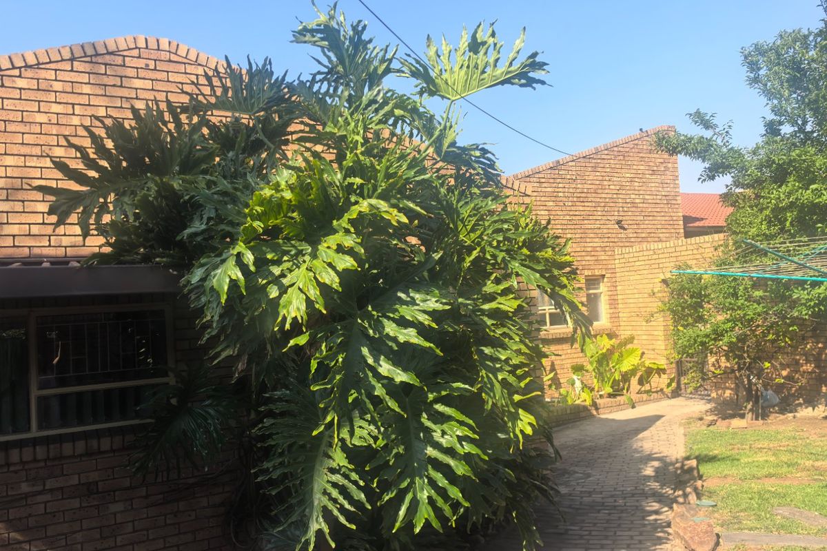 Look no further  beautiful lovely home in a good location - Photo 2