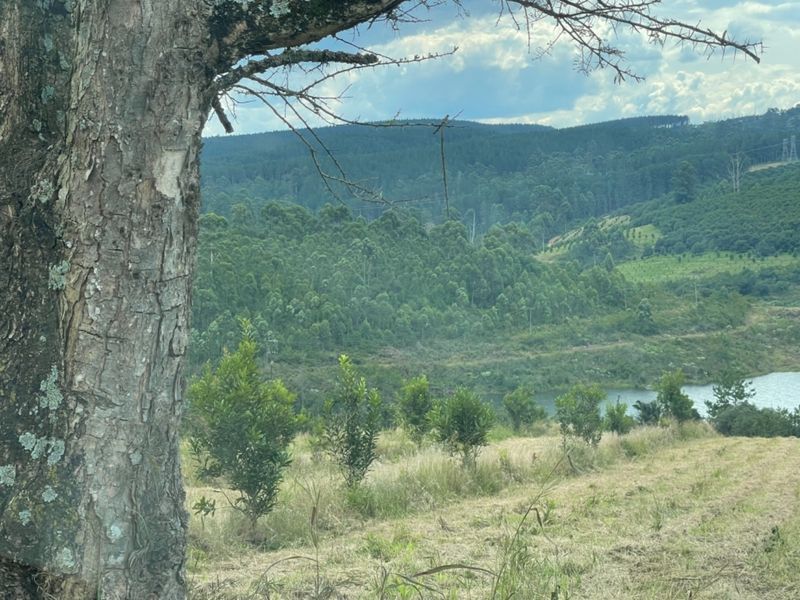 A scenic landscape view overlooking a dam and rolling hills covered in lush forest vegetation on the farm property.