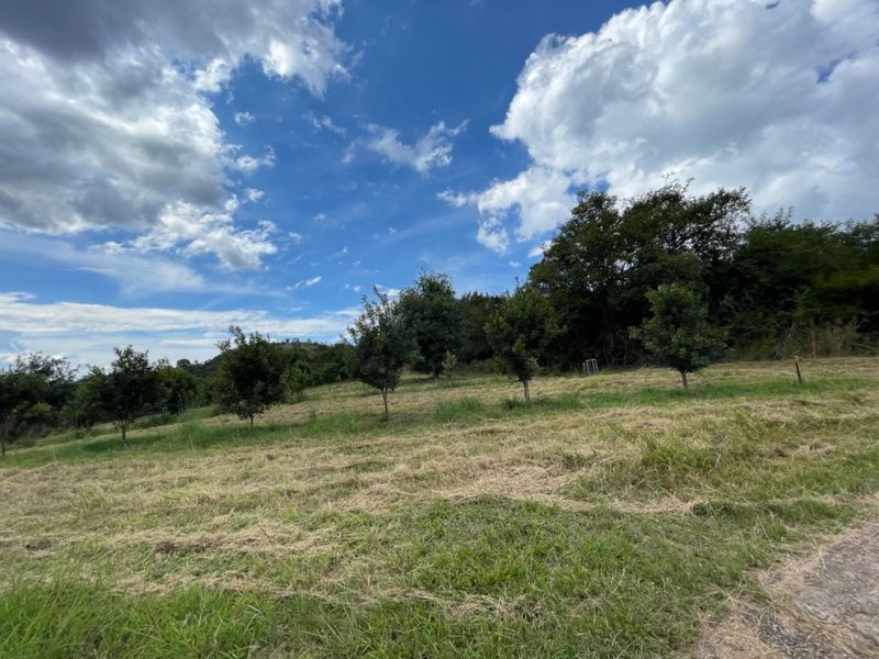 A wide-angle view of a sloping farm landscape featuring established orchard trees and open grassy fields under a bright blue sky.
