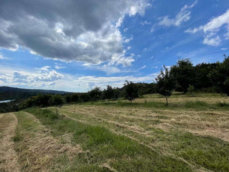 A scenic view of the farm property featuring a sloped pasture with established orchard trees under a bright, cloudy sky.