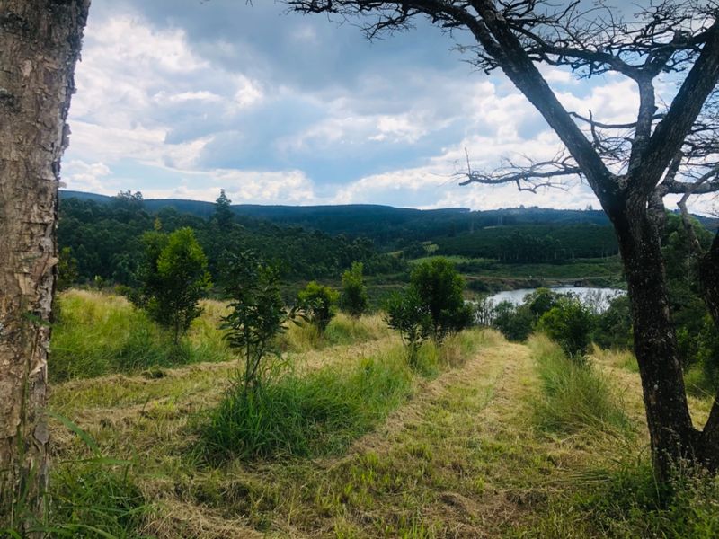 A scenic view of the farm landscape featuring rolling hills, natural vegetation, and a water body in the distance.