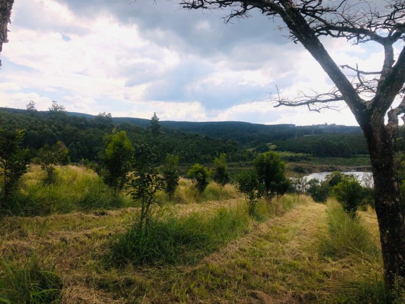 A scenic view of the farm landscape featuring rolling hills, natural vegetation, and a water body in the distance.