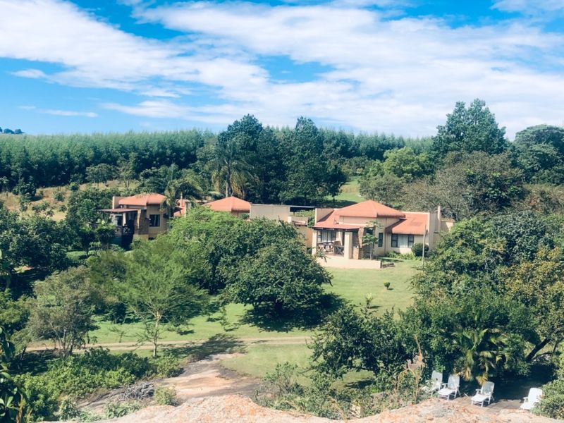 An elevated aerial view of the farm property featuring multiple residential buildings nestled within lush, mature gardens and expansive green landscapes.
