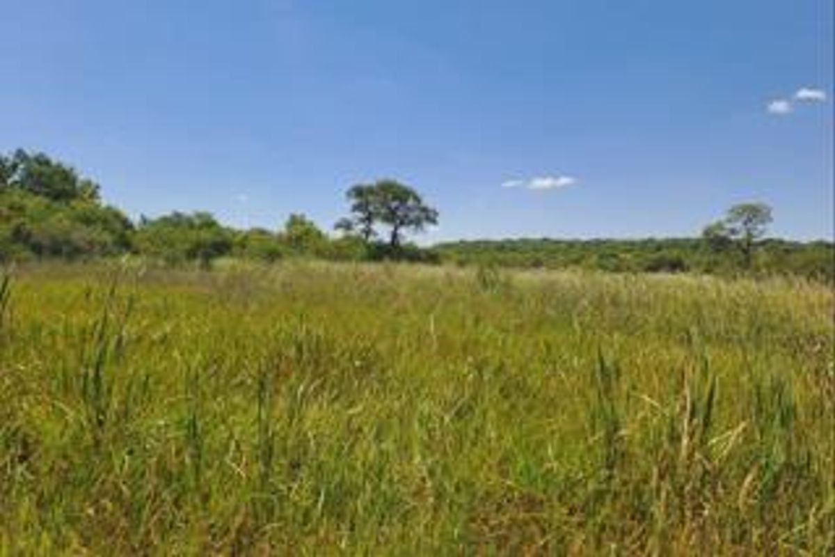 Vacant land for sale - Photo 3