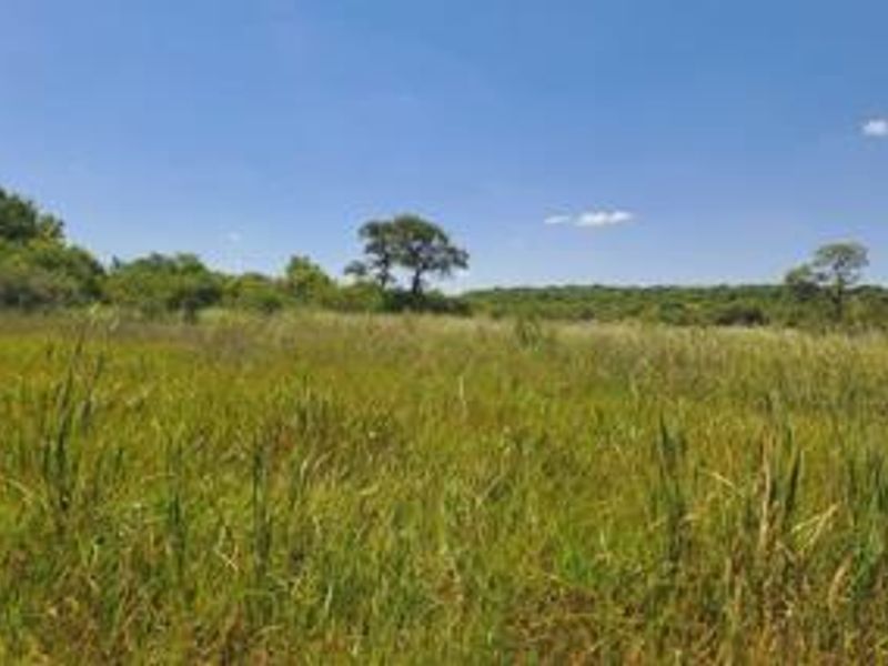 Vacant land for sale - Photo 3