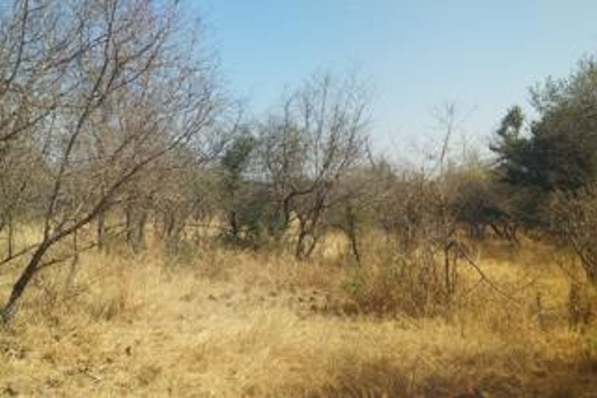 Vacant land for sale - Photo 4