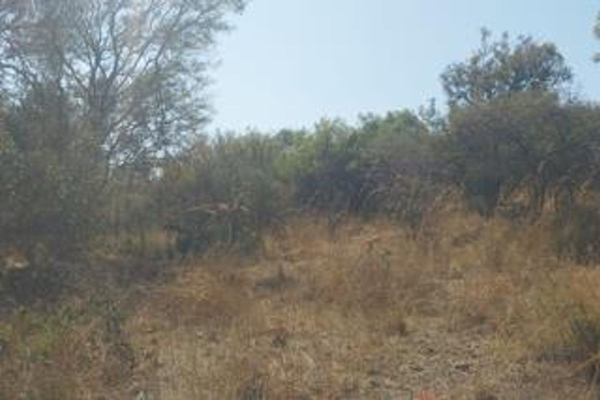 Vacant land for sale - Photo 2