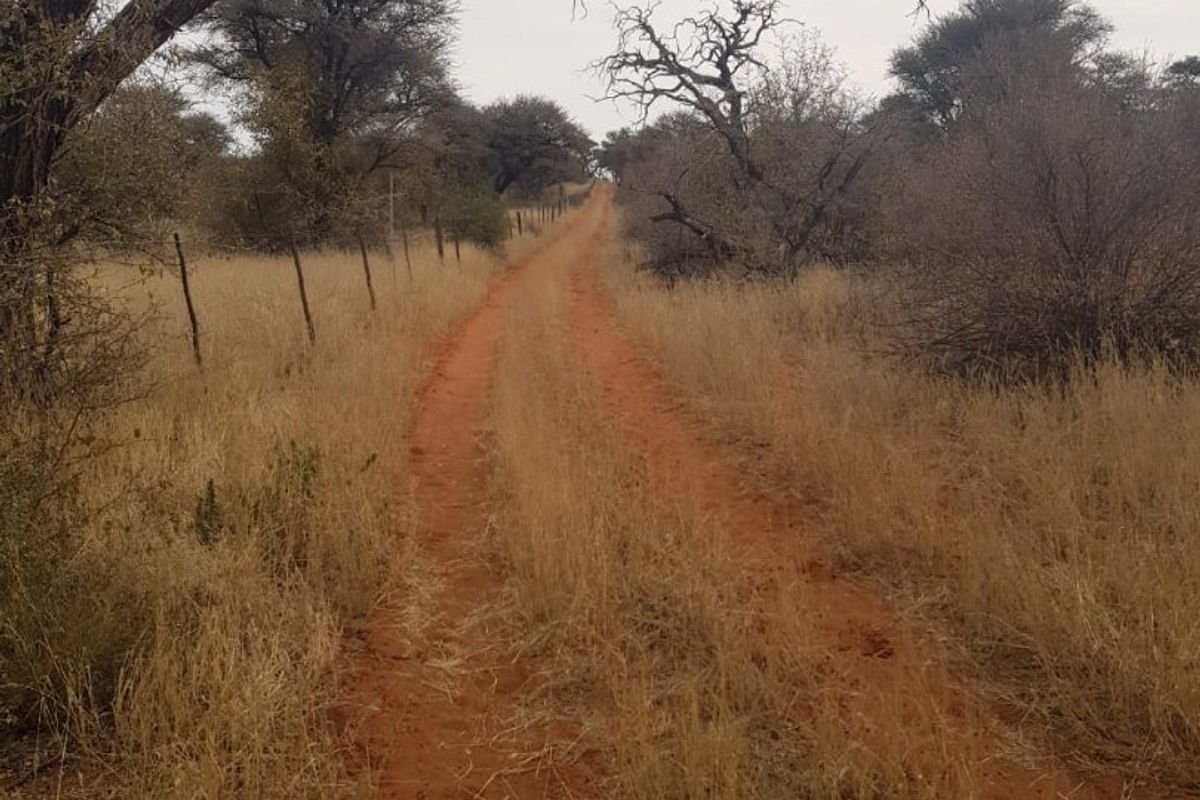 Farm for sale in Kalahari - Photo 2