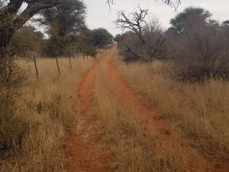 A scenic view of a rural dirt track winding through the natural farm landscape, bordered by a wire fence and indigenous trees.