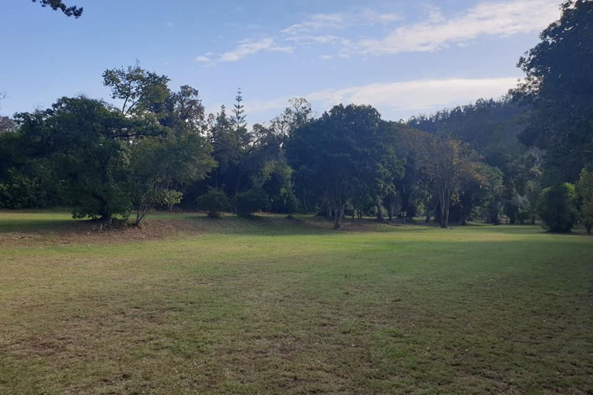 Greenmere Lifestyle Estate – Prime 28.8 Ha Development Opportunity on the Garden Route - Photo 5