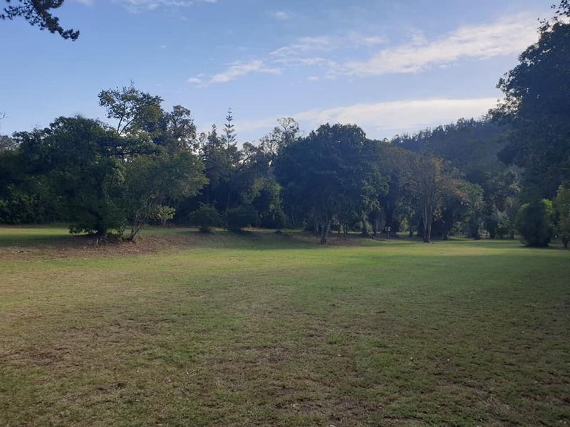 Greenmere Lifestyle Estate – Prime 28.8 Ha Development Opportunity on the Garden Route - Photo 5