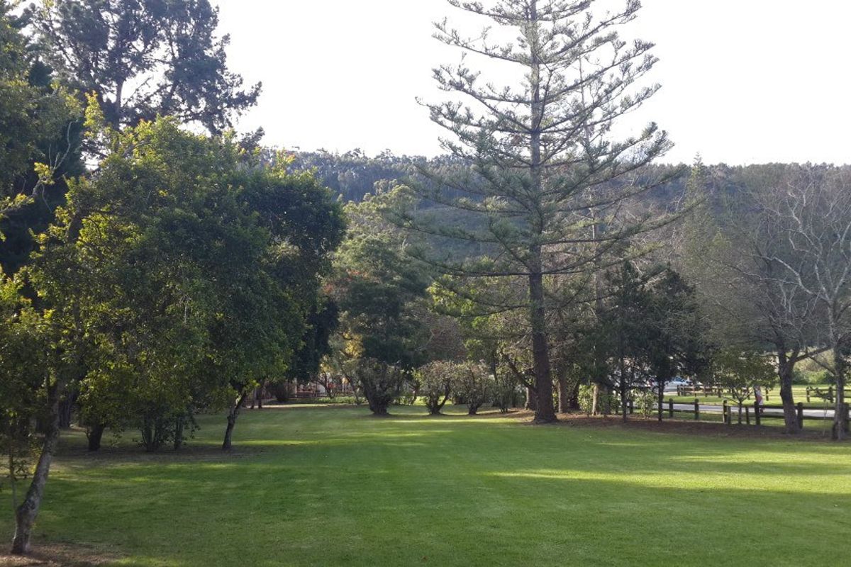 Greenmere Lifestyle Estate – Prime 28.8 Ha Development Opportunity on the Garden Route - Photo 4