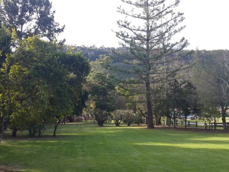 Greenmere Lifestyle Estate – Prime 28.8 Ha Development Opportunity on the Garden Route - Photo 4