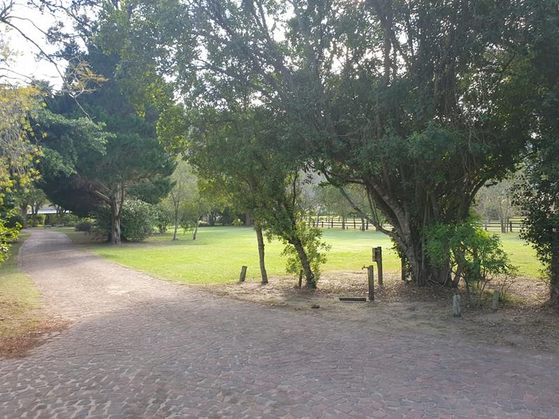 Greenmere Lifestyle Estate – Prime 28.8 Ha Development Opportunity on the Garden Route - Photo 6