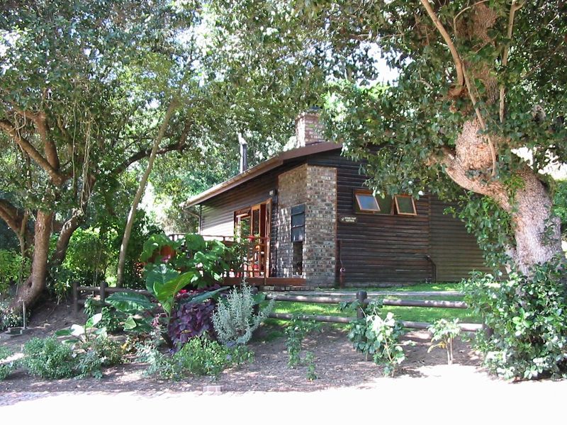 Greenmere Lifestyle Estate – Prime 28.8 Ha Development Opportunity on the Garden Route - Photo 9