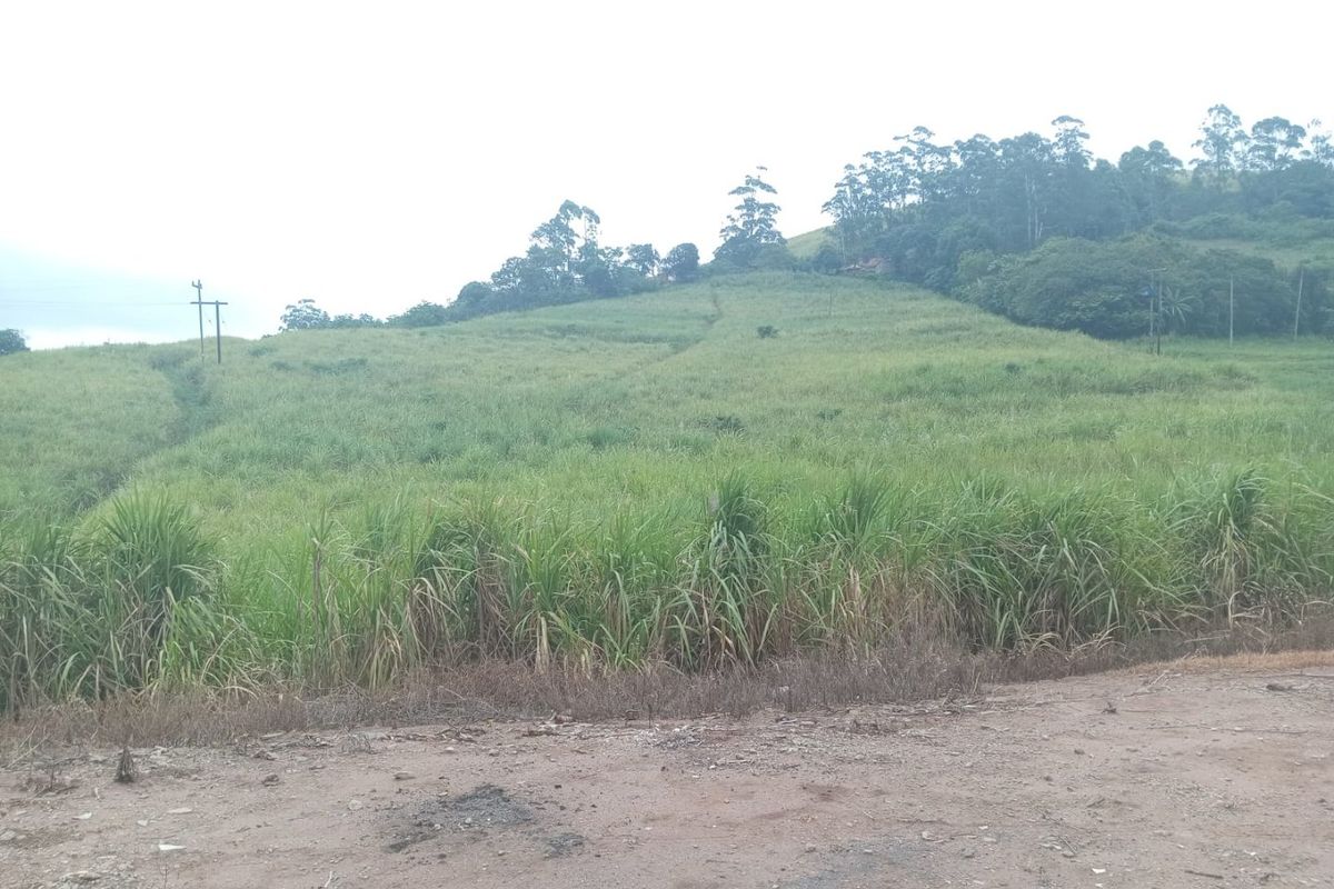 4 Bed Farm in Stanger Central for Sale - Photo 3